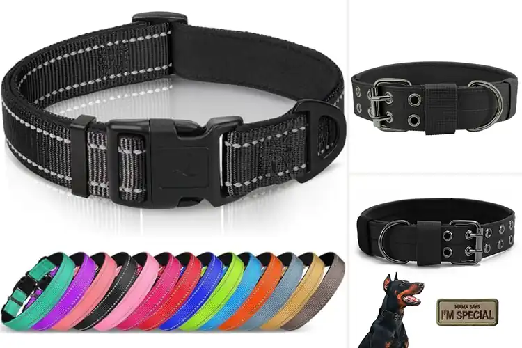 Detailed view of Best Adjustable Dog Collars Large