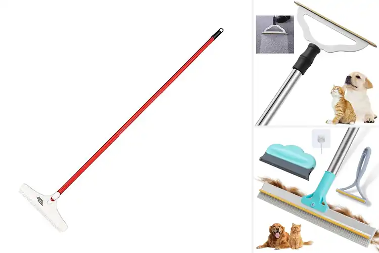 Detailed view of Best Carpet Rakes