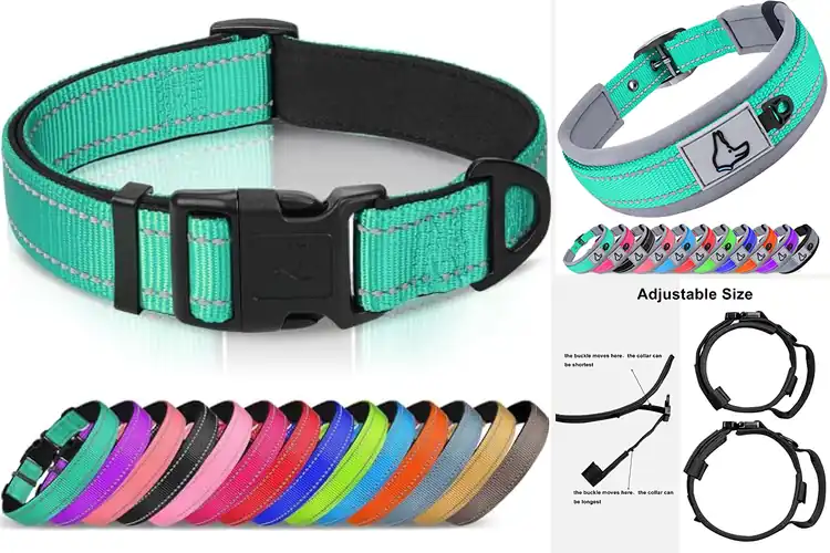 Detailed view of Best Durable Dog Collars: Top 10 Picks for Safety & Style