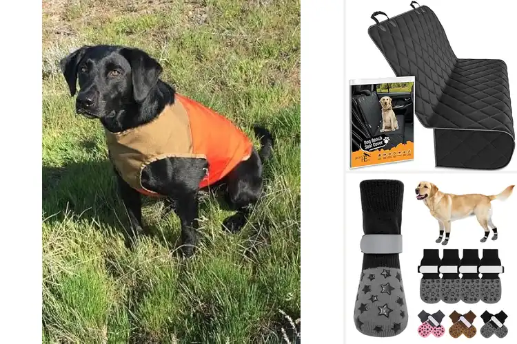 Detailed view of Best Durable Protection For Active Dogs