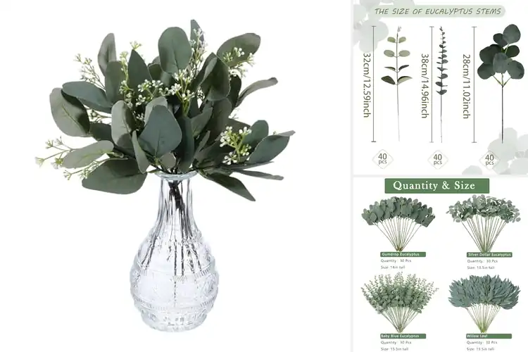Detailed view of Best Eucalyptus Stems For DIY Bouquets