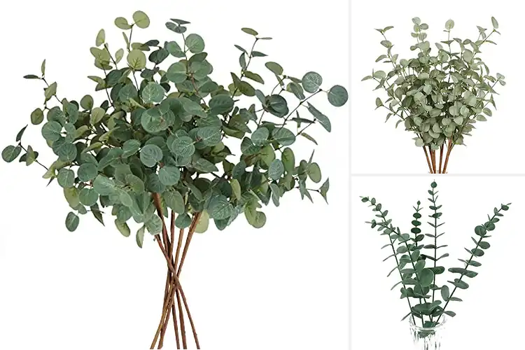 Detailed view of Best Eucalyptus Stems For Weddings