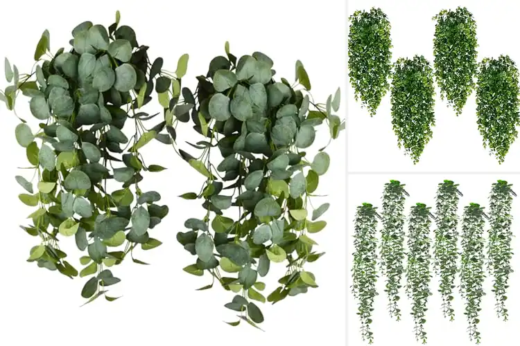 Detailed view of Best Hanging Eucalyptus Stems