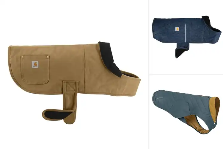 Detailed view of Best Insulated Winter Dog Jacket With Quilted Liner