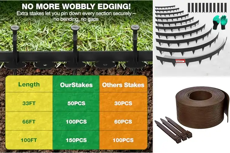 Detailed view of Best Landscape Edgings