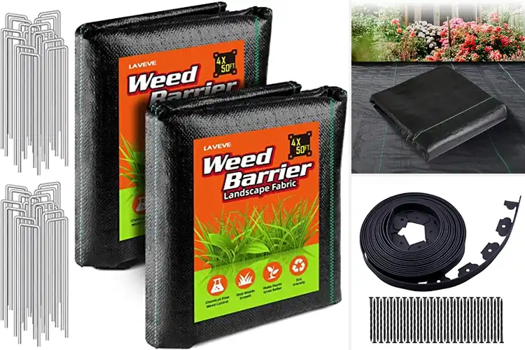 Detailed view of Best Lawn Barriers