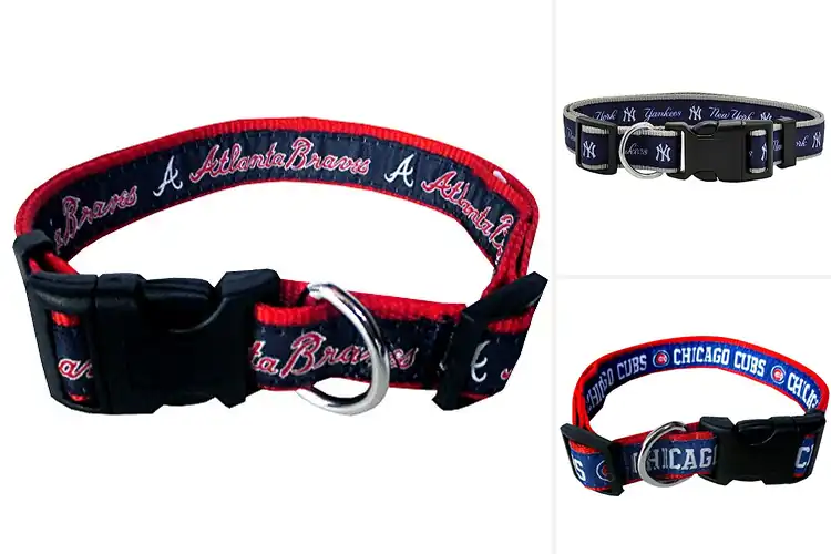 Detailed view of Best Licensed MLB Pet Collars: Show Team Spirit in Style
