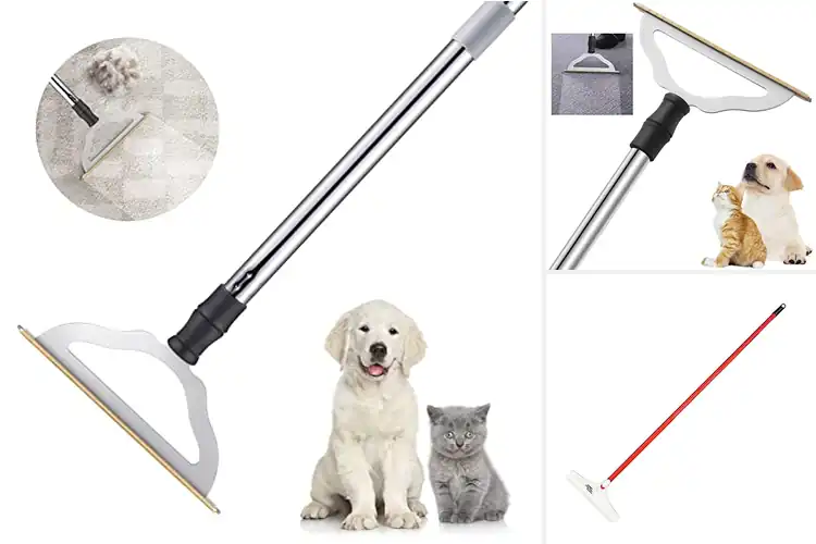 Detailed view of Best Long Handle Carpet Rakes