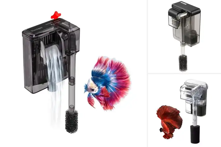 Detailed view of Best Low-Flow Filters