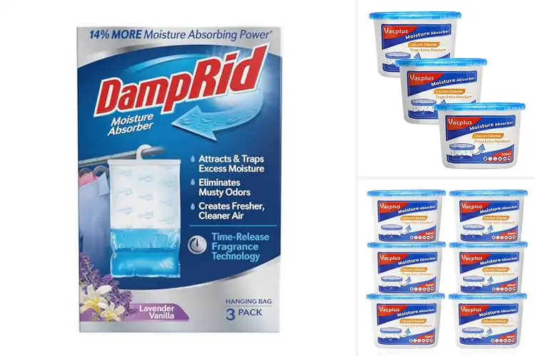 Detailed view of Best Moisture Absorbers: Top 10 Picks for a Dry, Fresh Home