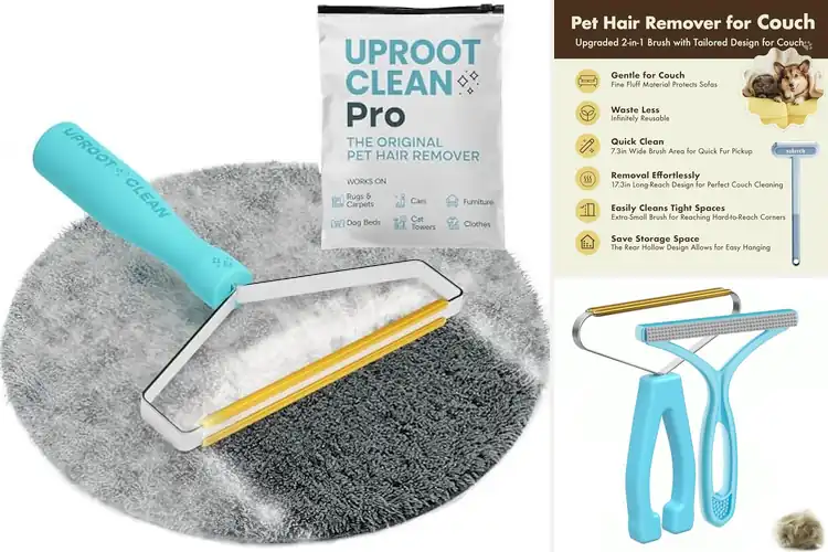 Detailed view of Best Non Kneeling Pet Hair Cleaners
