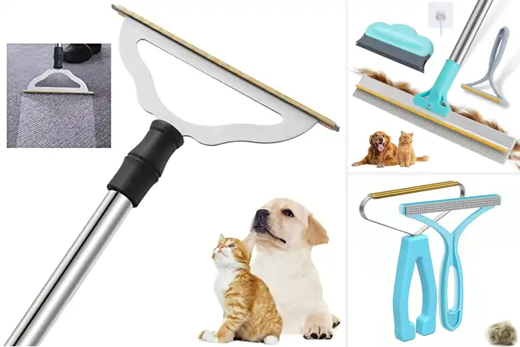 Detailed view of Best Pet Hair Removers For Carpets