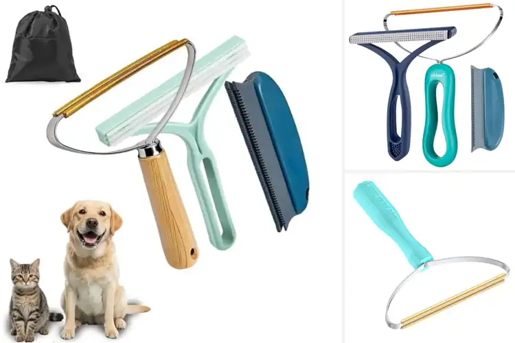 Detailed view of Best Pet Hair Scrapers