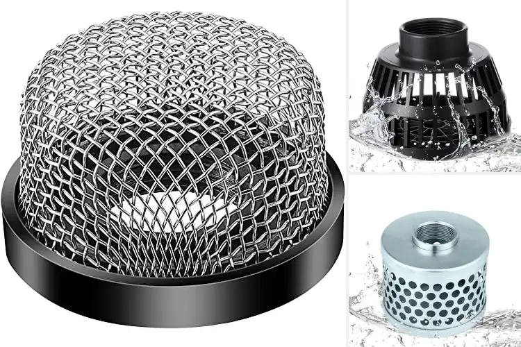 Detailed view of Best Pump Protection Strainers