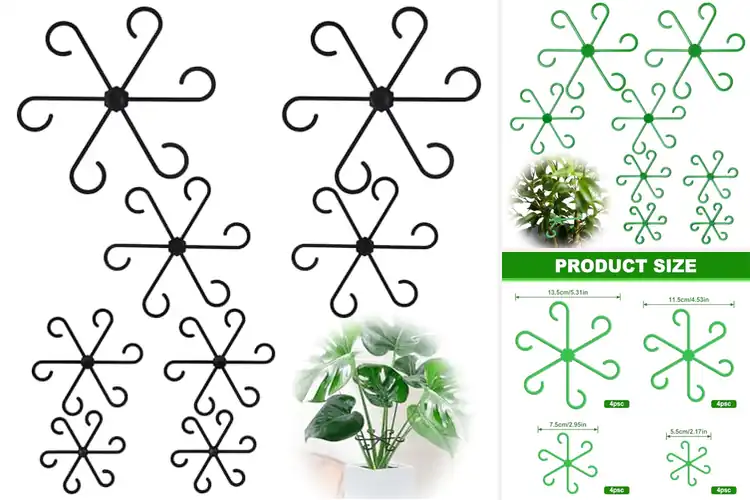 Detailed view of Best Stem Holders: 10 Thriving Plant Supports
