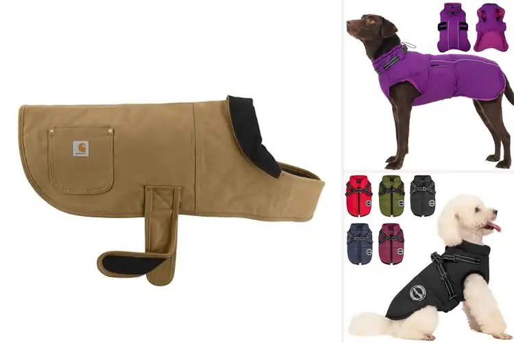 Detailed view of Best Weather Resistant Dog Coat For Cold Wind